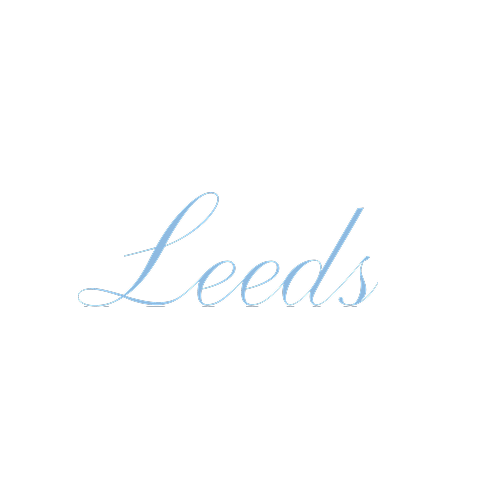 리즈