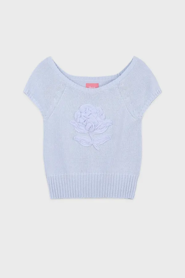 Flower Raglan Knit (Soft Blue)