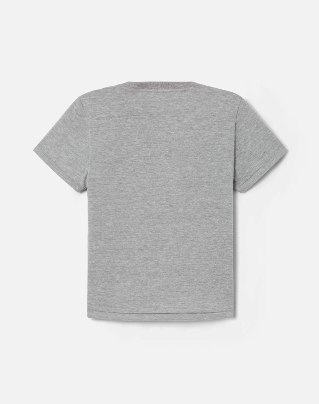 리던 Hanes Classic Tee - Heather Grey 상품 이미지 2