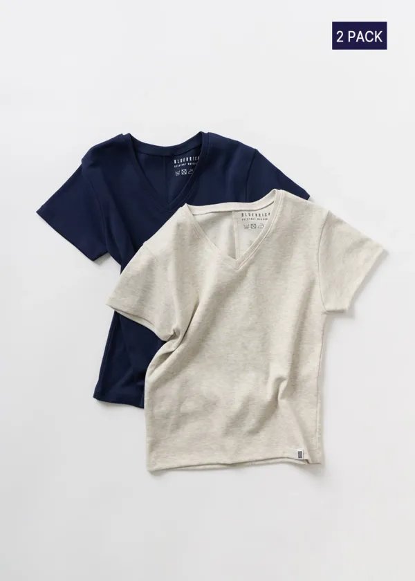Base v-neck t-shirt (2 pack)