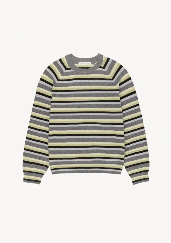 Summer Stripe Ted Raglan Knit in Gray