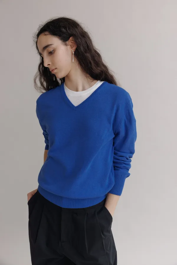Cotton v-neck knit (Blue)