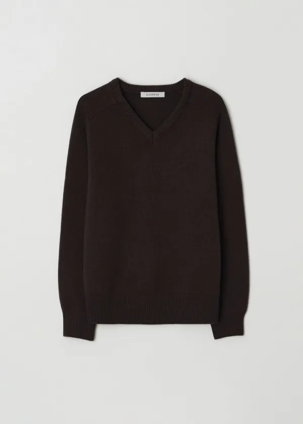 Classic cash v-neck knit (choco brown)