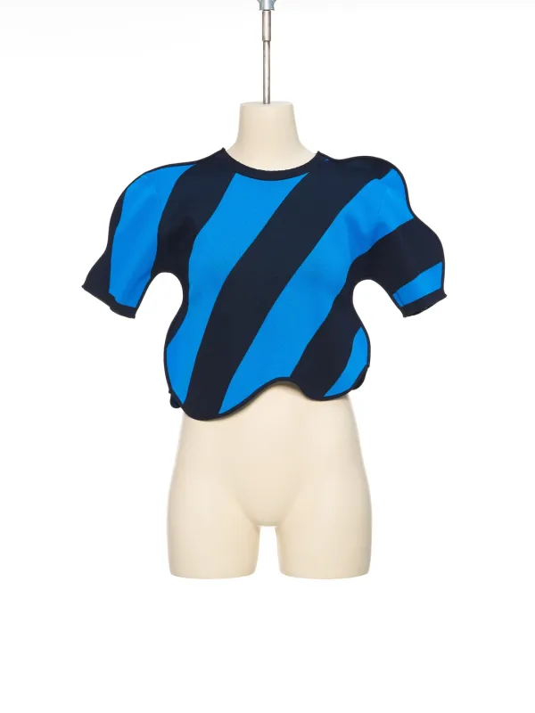 SS26 BLUE STRIPE WAVY KNIT TOP