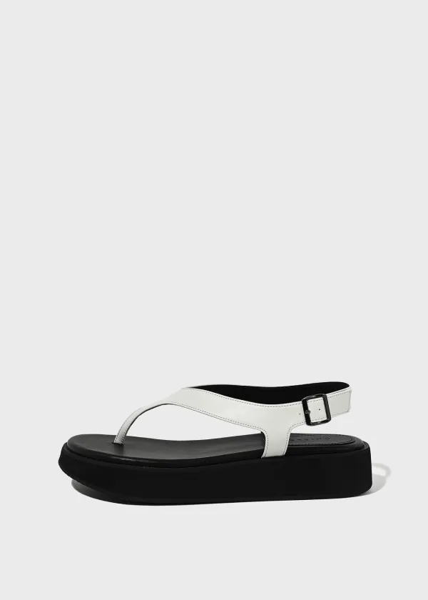 PLATFORM ZORI [C3S11 IV]
