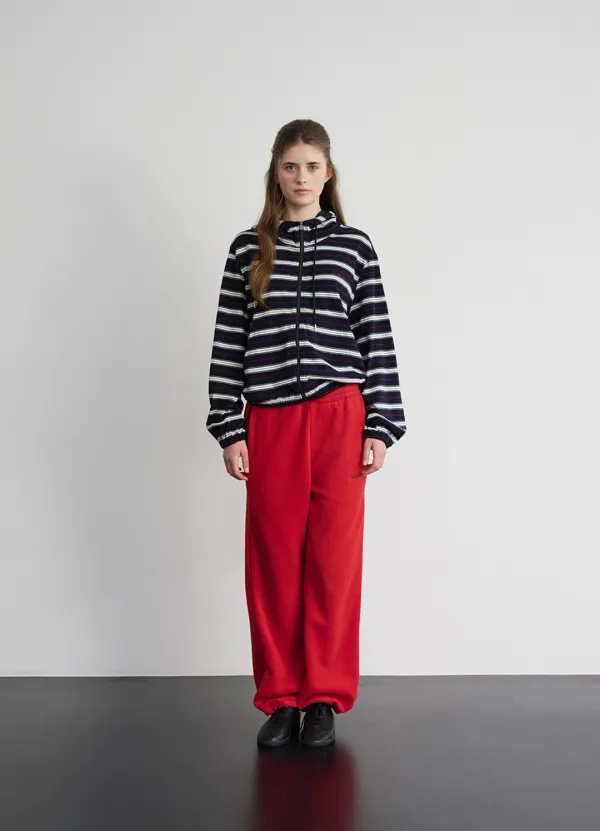 Lang Stripe Zip-Up Hoodie_Navy
