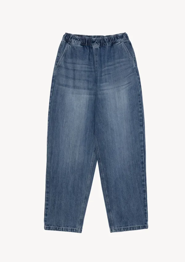 Hudson Banding Denim in Blue