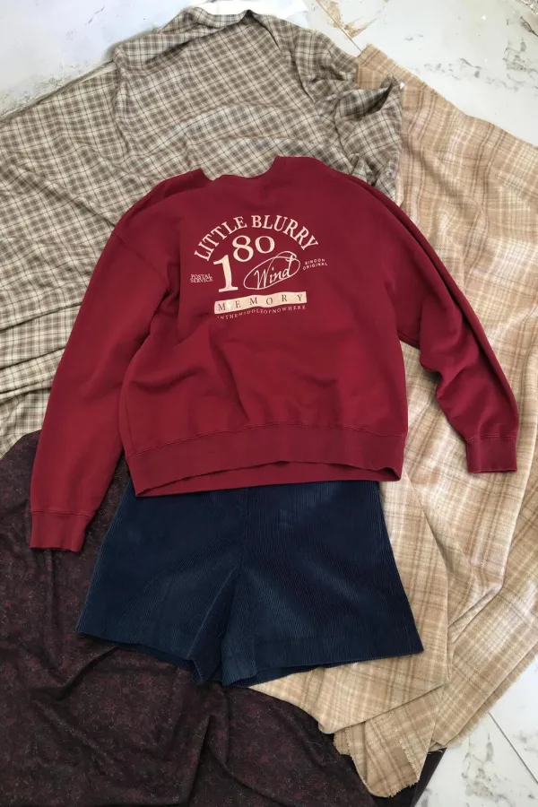 Little Blurry Sweatshirt (Red)