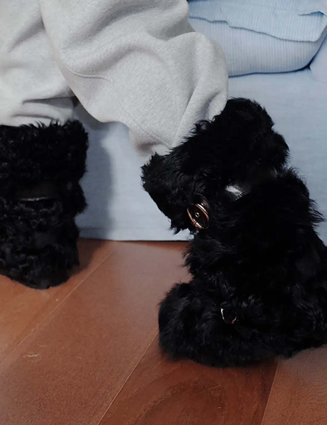 프레클 [exclusive] lamb fur boots in black 상품 이미지 2