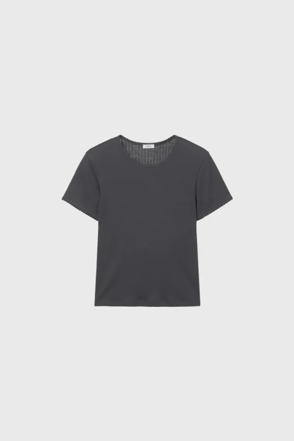 Scallop Ribbed Jersey Short Sleeve (Beige / Dark Gray)