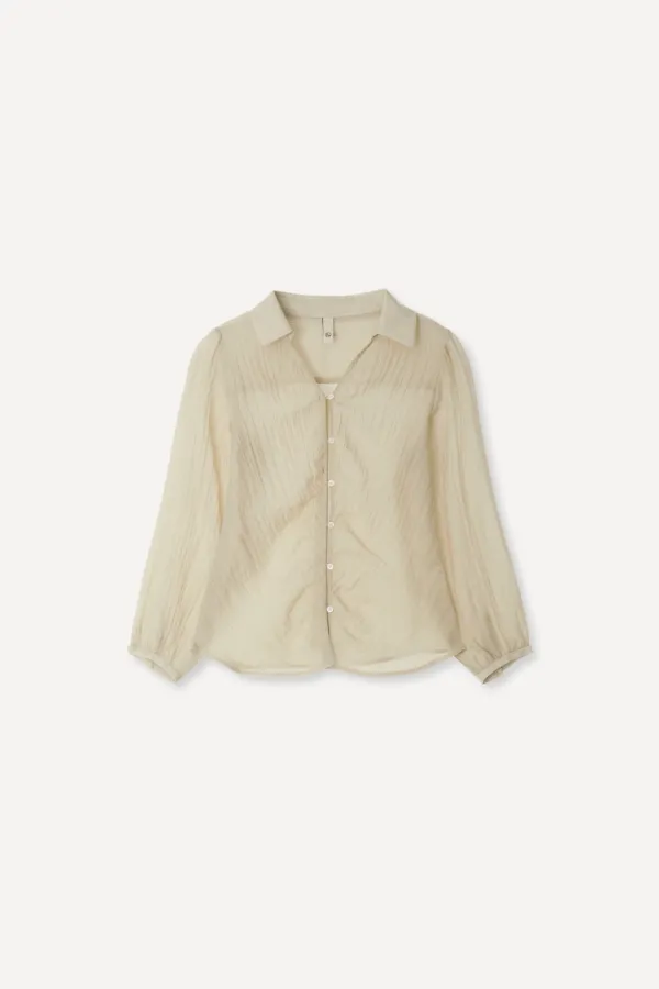 Add Sheer Blouse