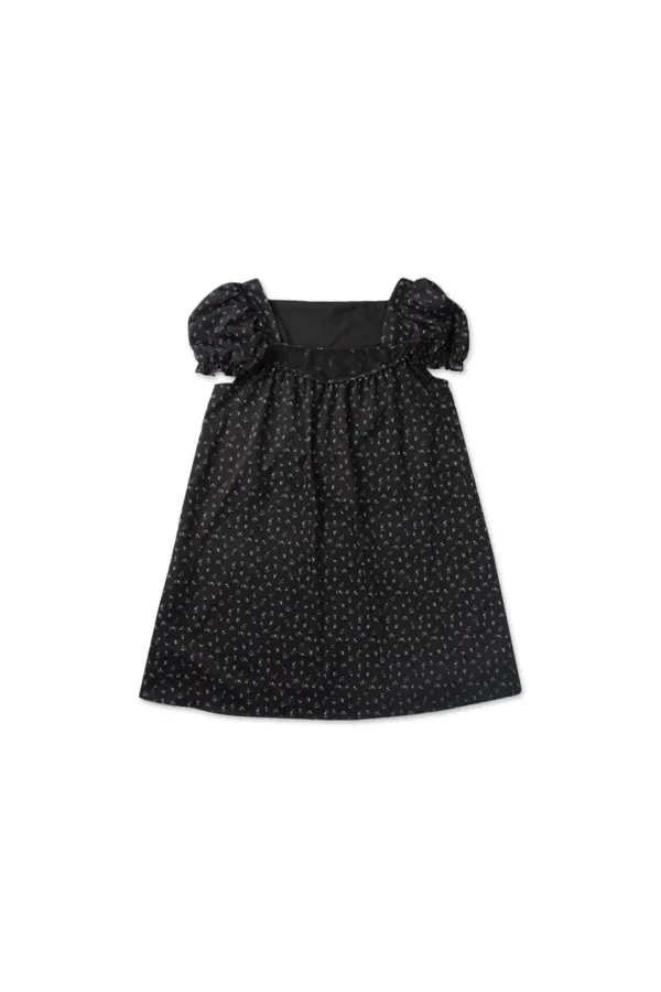 Ain mini dress_floral