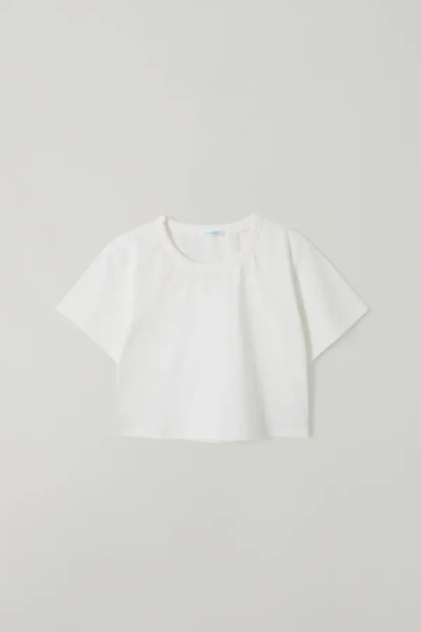 (1st re-stock) T/T Embroidery crop t-shirt (white)