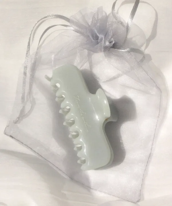 프렌치 헤어 클립 (watery mint)