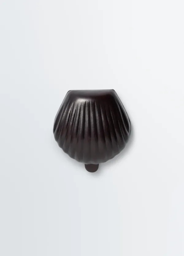 CARLOS SHELL COIN PURSE