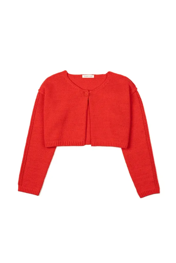 Paula Cardigan, Red