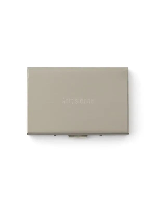 Antt Card Bag (Silver)