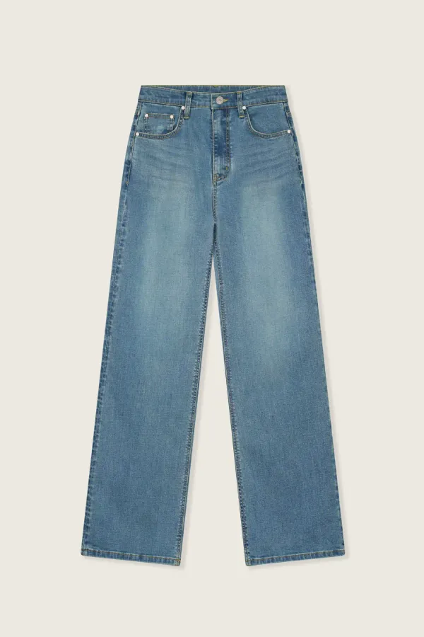 Janey Medium blue_flare fit