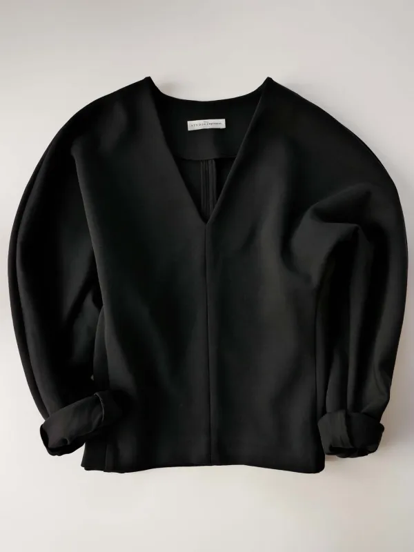 Again V-neck Top (black)