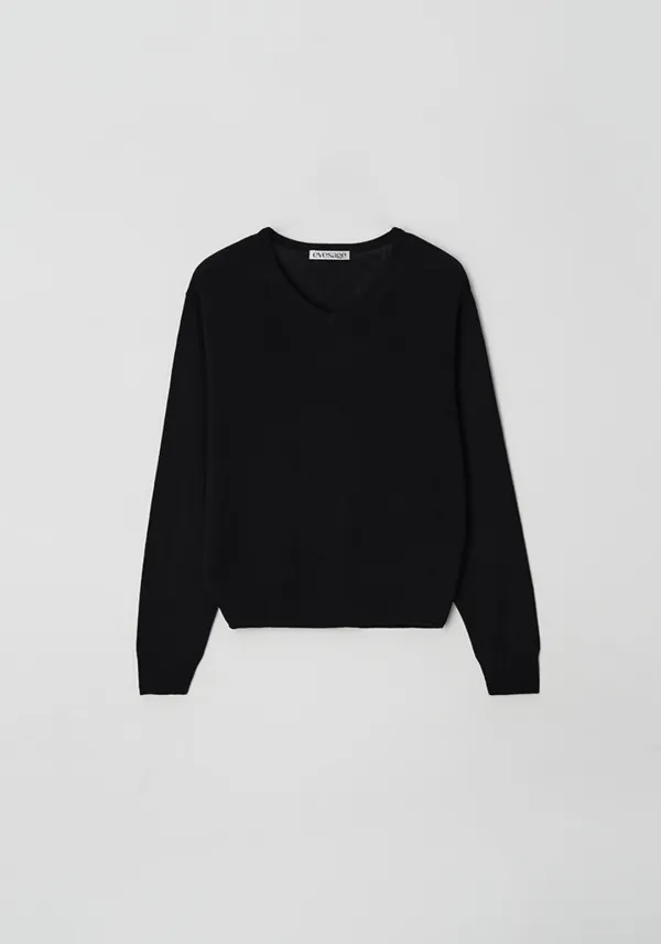 Regular fit v-neck knit (Black)