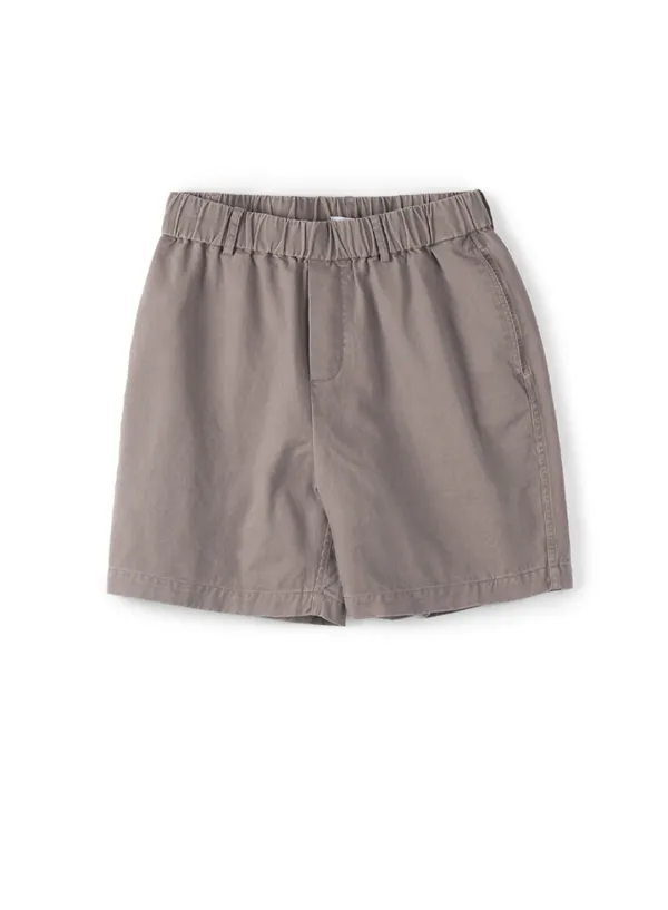 Dust Field Shorts_Smoke Purple