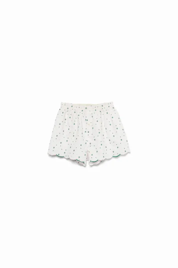 Seersucker Trunk Shorts