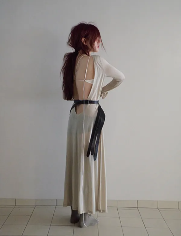 backless sheer maxi dress