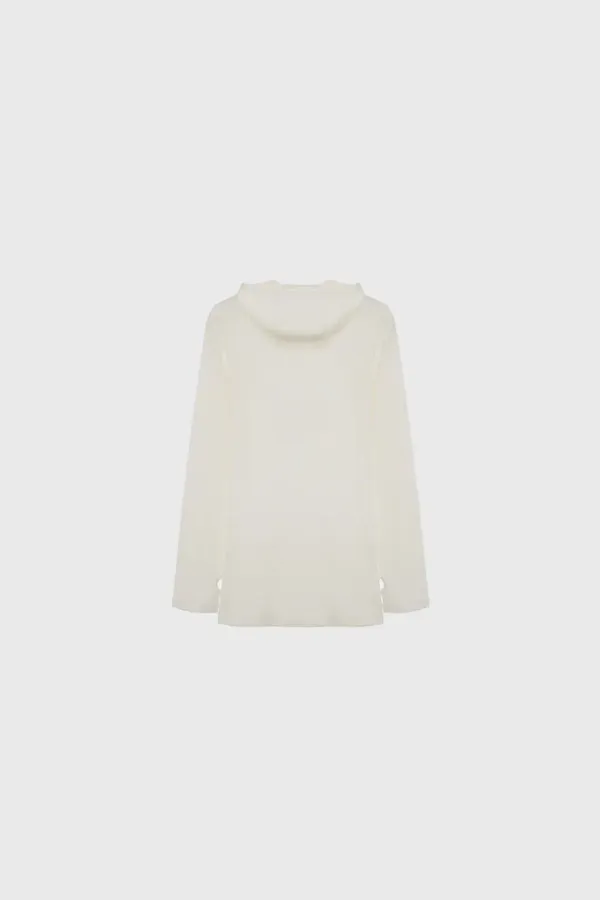 Hoodie t-shirt
