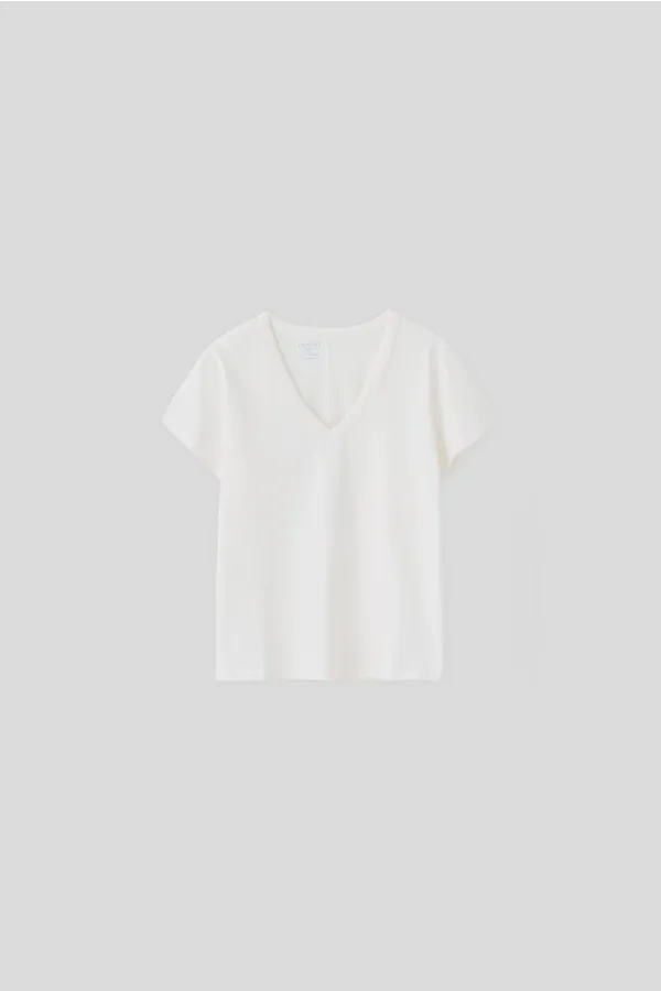 T/T Clean v-neck t-shirt (3 color)