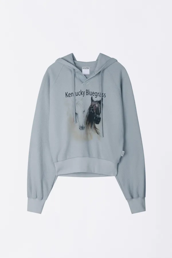 Kentucky Waffle Hoodie Baby Blue