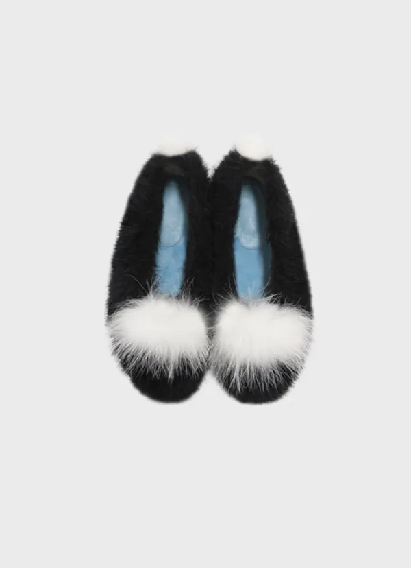 skunk in black