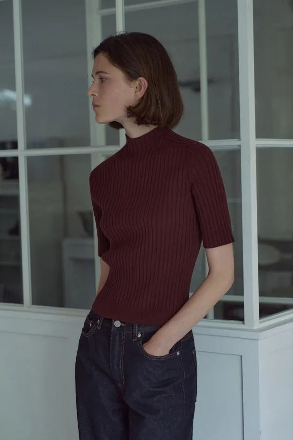 Holgament High-neck Half-sleeve Knit Top[LMBEAUKN293]-Chocolate brown