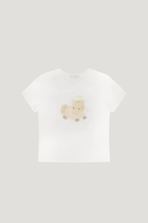 Halo Pony T