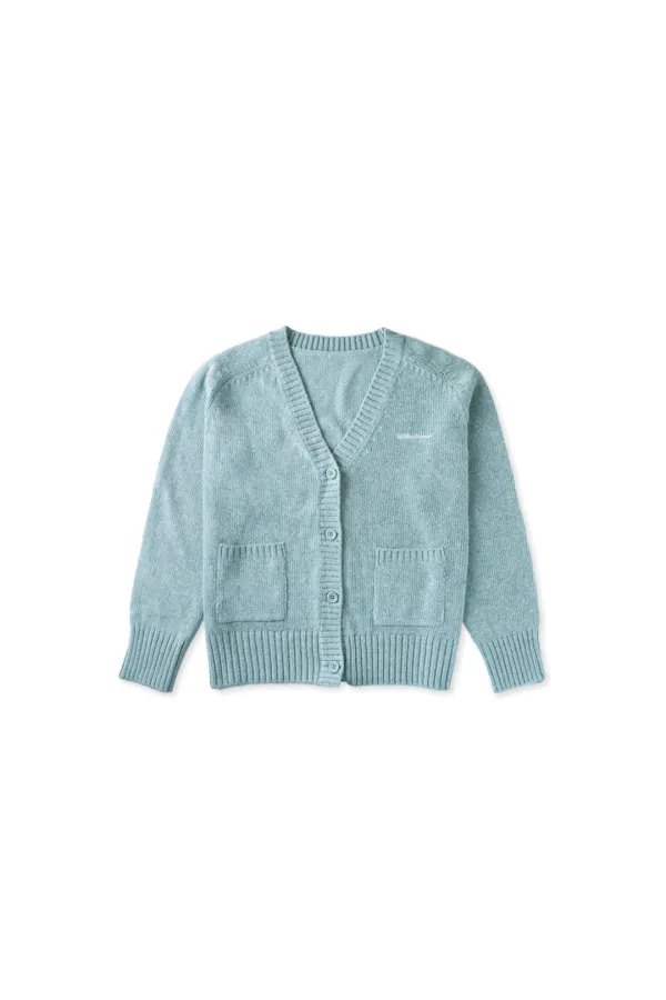 Nuts v-neck cardigan_skyblue