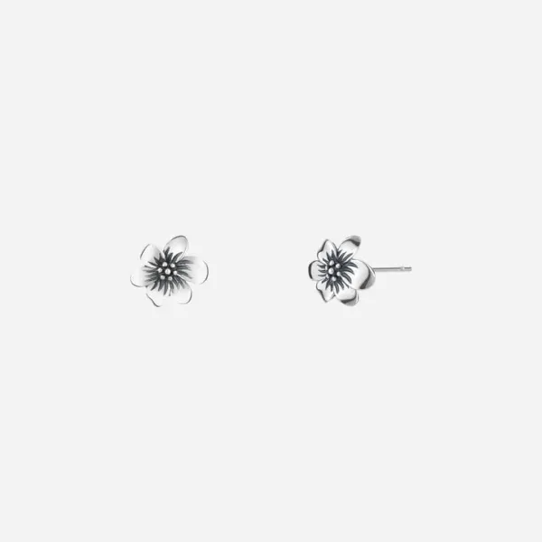 [silver925] corolla earrings-black silver