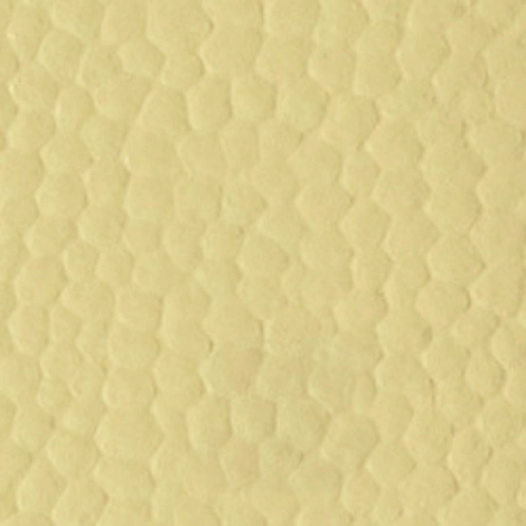 시에 Archive Passport Holder 상품 이미지 3