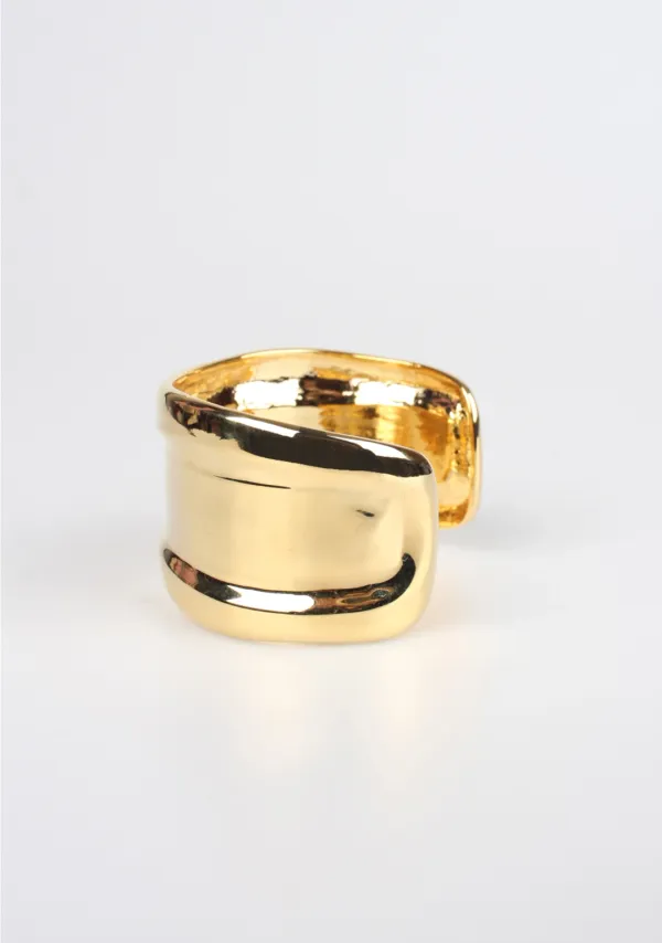 Curve Wide Bangle (2colors)