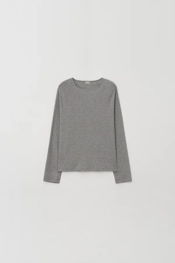 Raglan Long Sleeve T-Shirt (gray)