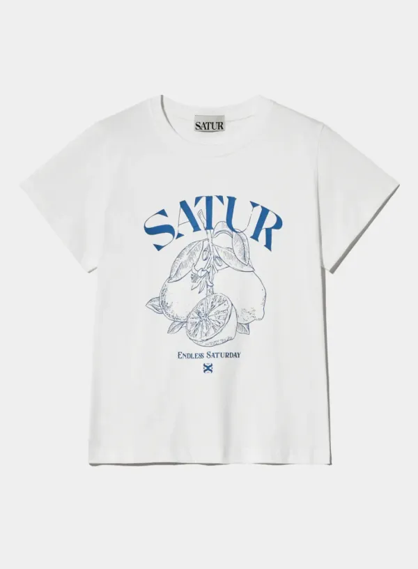 (W) Capri Citron Drawing Summer Graphic T-Shirt - Light Blue