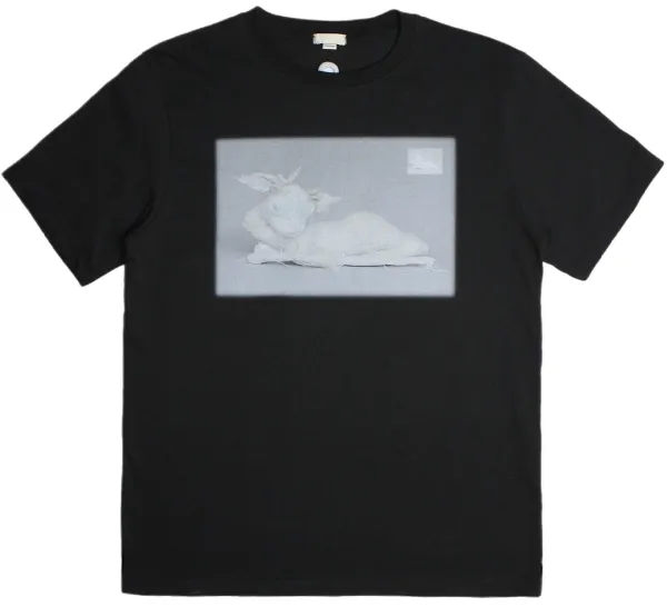 Arcadia top (Black)