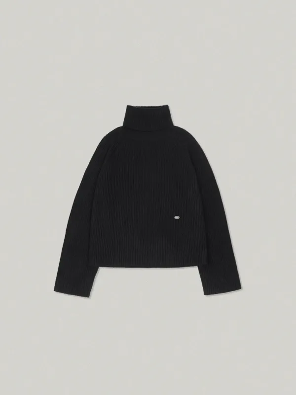 Snug Turtleneck Knit - Black스너그 터틀넥 니트