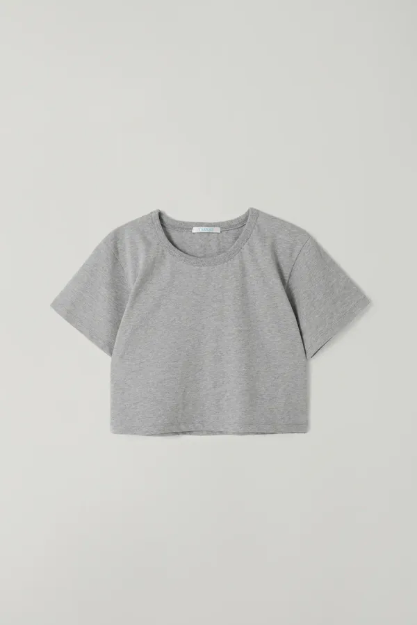 T/T Embroidery crop t-shirt (gray)