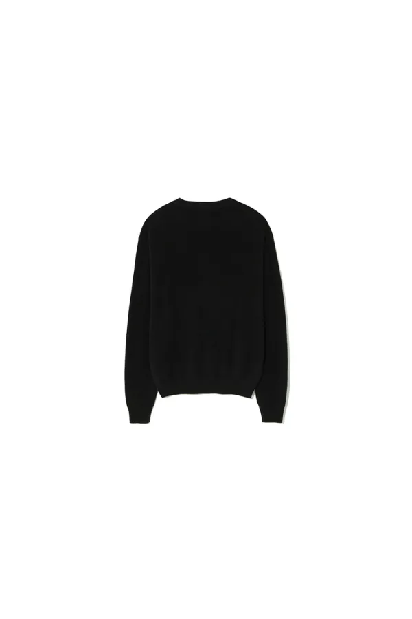 PURE CASHMERE CREWNECK SWEATER [BLACK]