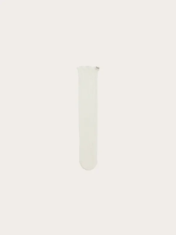 켄시 레이스 삭스