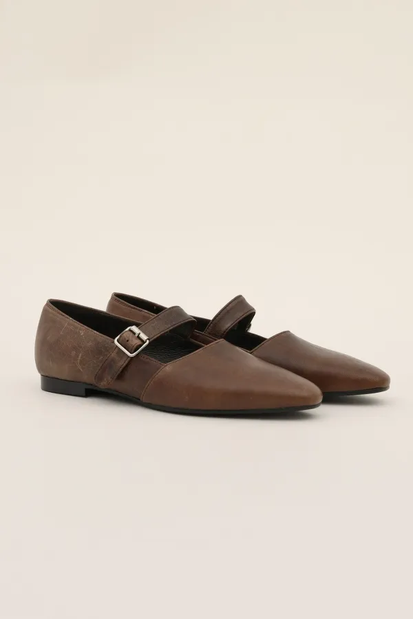 Raul Maryjane, Brown
