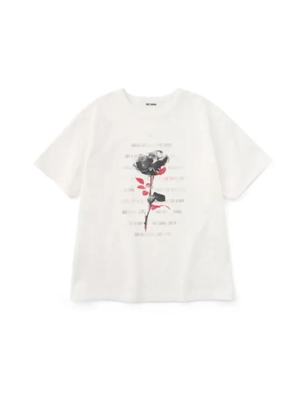 Antt Rose Top (White)