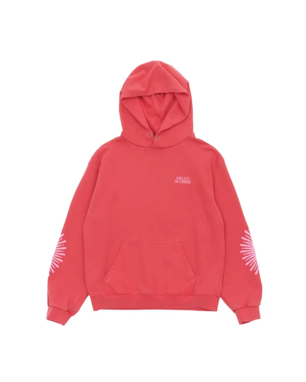 HS OG Logo Hoodie_VTG Pink