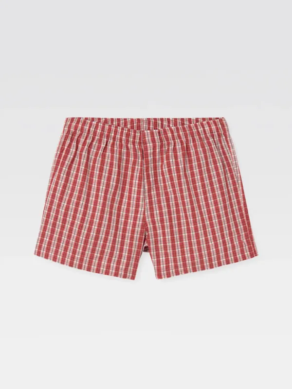 Male Boxer