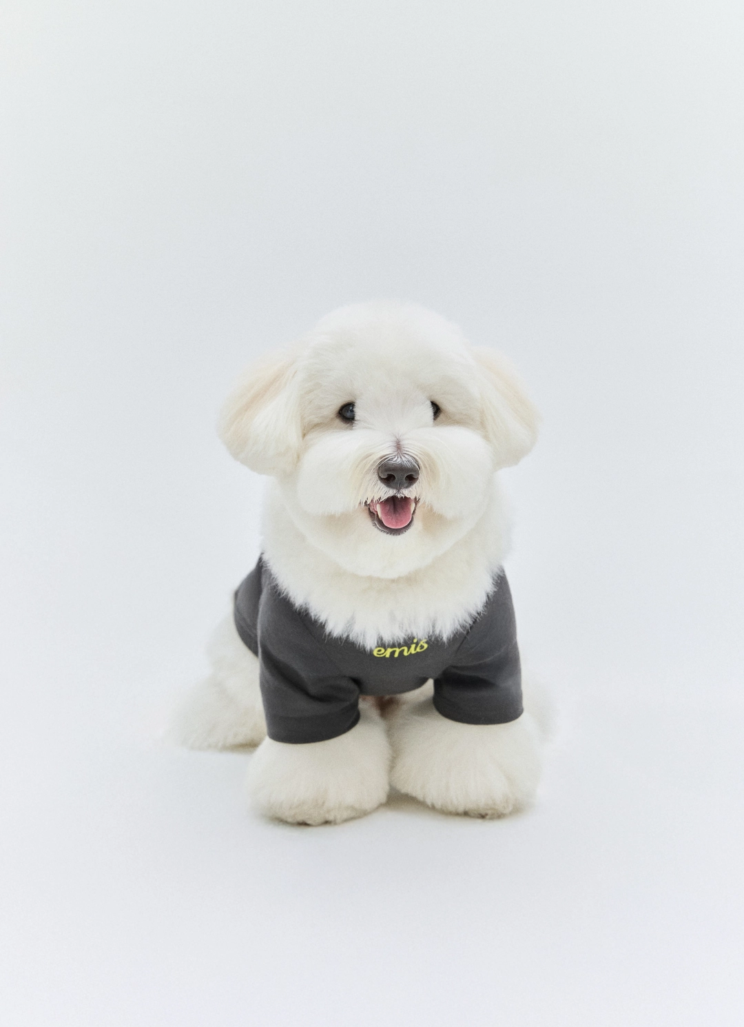 이미스 (PET) LETTERING LOGO T-SHIRT-CHARCOAL 상품 이미지 2