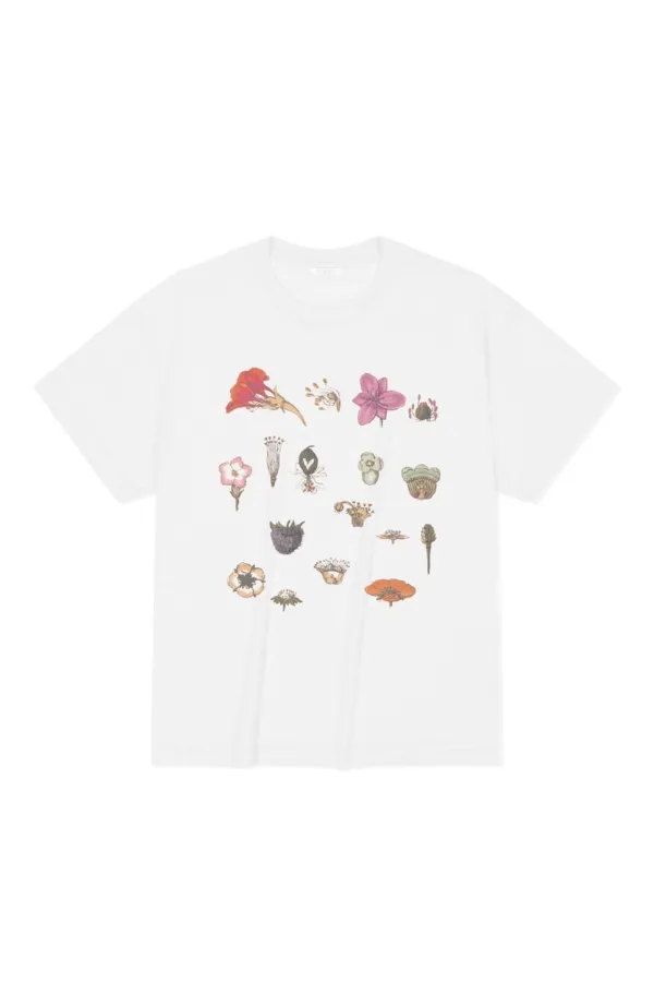 Botanic Tee_Ivory